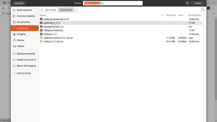 TelaParaSalvarOArquivo